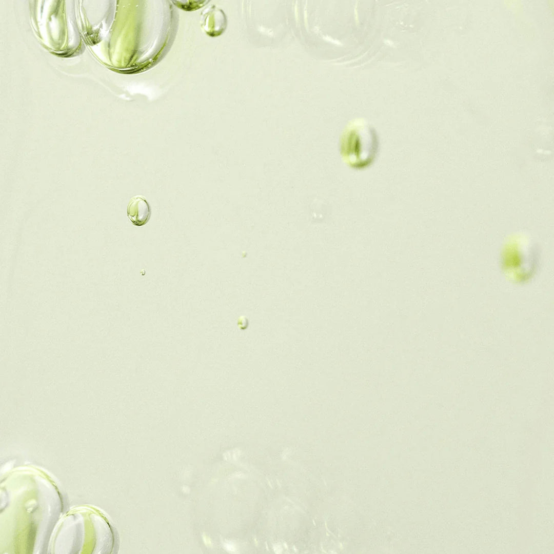 Beauty of Joseon Calming serum : Green tea + Panthenol 30ml